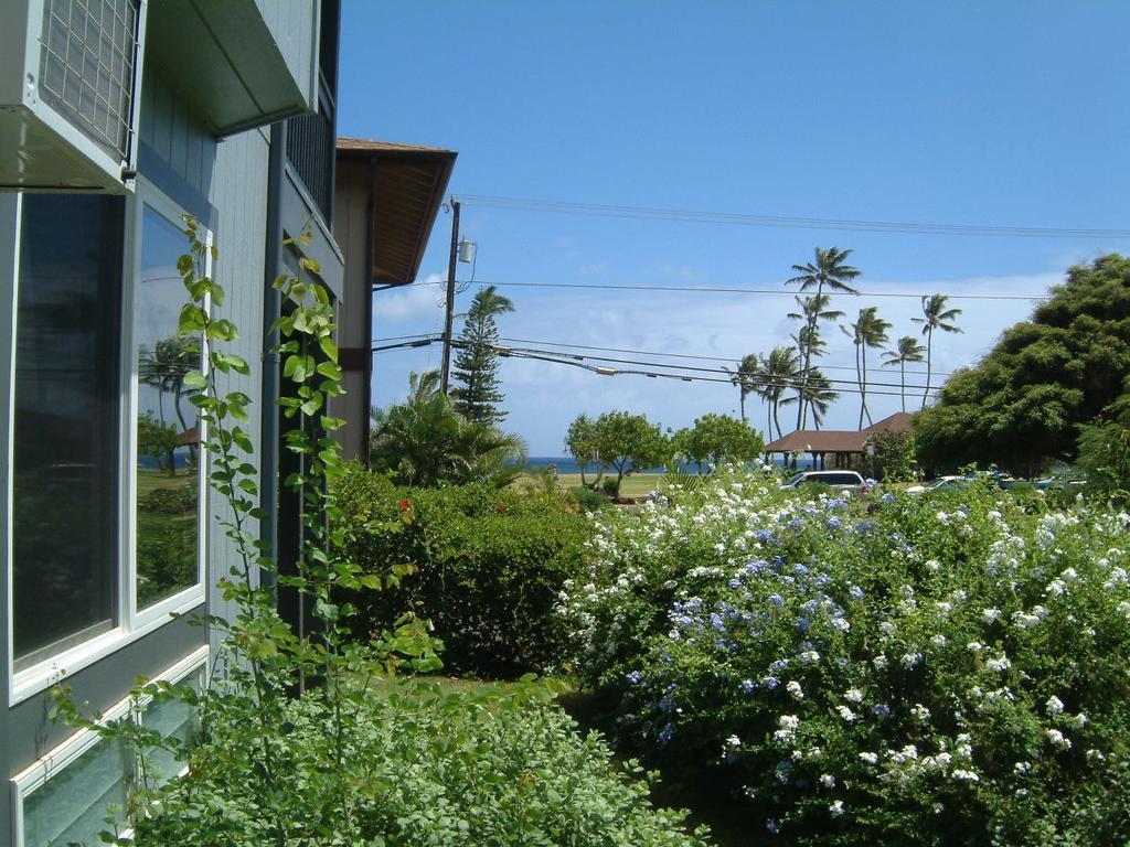 Hale Pua Villa - Seaside Studio Koloa Екстер'єр фото